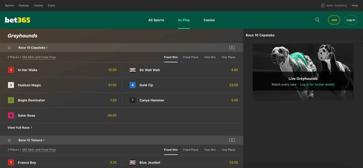 Bet365 greyhound racing odds for Race 10 Capalaba showing fixed win prices — example of Bet365 Apple Pay withdrawal declined issue context.