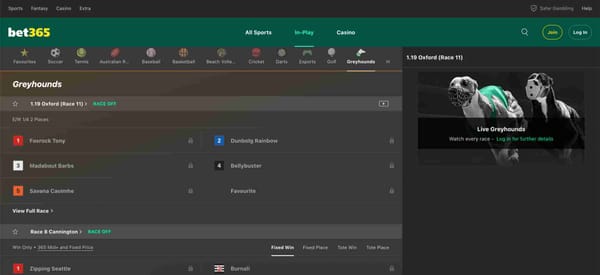 Bet365 greyhound racing odds and live race view for Oxford event