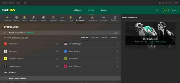 Bet365 greyhound racing interface showing Shepparton race details with betting options.